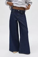 BDG Joey Full Length Wide Leg Jean