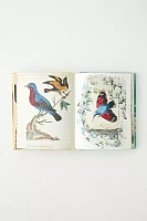 John Derian Sticker Book By John Derian