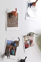 Animal Butt Magnet Set