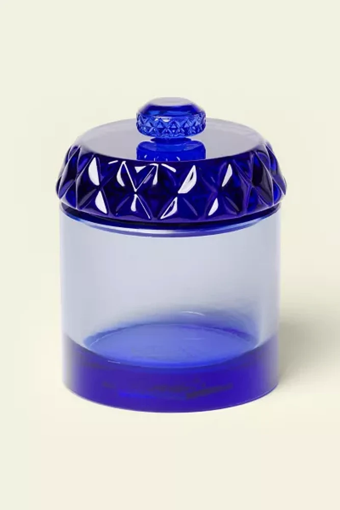 Houseplant Glass Stash Jar