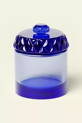 Houseplant Glass Stash Jar