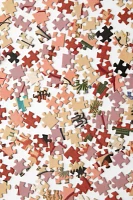 Parks Project Parks Tour Jigsaw Puzzle