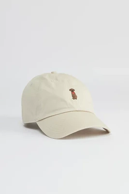 '47 Brand Chocolate Lab Clean Up Hat
