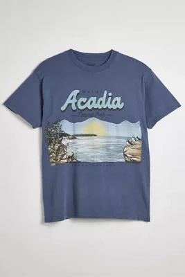 Parks Project Acadia Park Graphic Tee