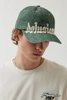 Coney Island Picnic Delusional Graphic Dad Hat