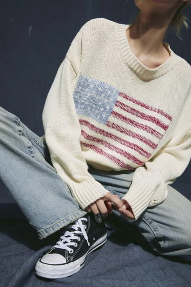 BDG American Flag Crew Neck Sweater