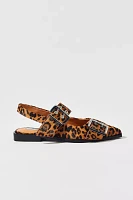 Steve Madden Graya Leopard Print Calf Hair Buckle Flat