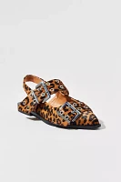 Steve Madden Graya Leopard Print Calf Hair Buckle Flat