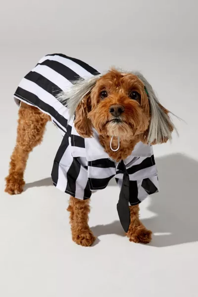 Beetlejuice Pet Costume