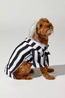 Beetlejuice Pet Costume