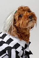 Beetlejuice Pet Costume