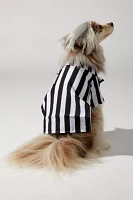 Beetlejuice Pet Costume