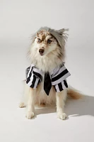 Beetlejuice Pet Costume