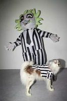 Beetlejuice Pet Costume