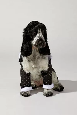 Wednesday Addams Pet Costume