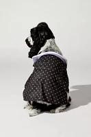 Wednesday Addams Pet Costume