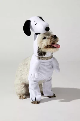 Peanuts Snoopy Walking Pet Costume