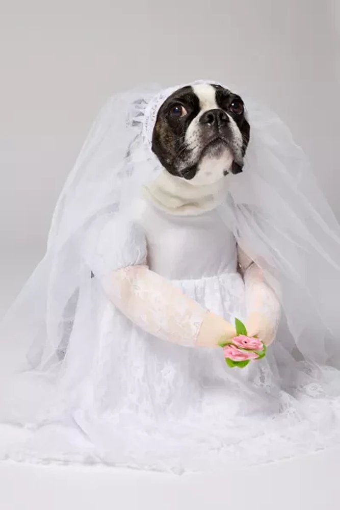 Bride Pet Costume