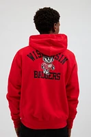 Champion UO Exclusive Wisconsin Badgers Hoodie Sweatshirt