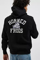 Champion UO Exclusive TCU Horned Frogs Hoodie Sweatshirt