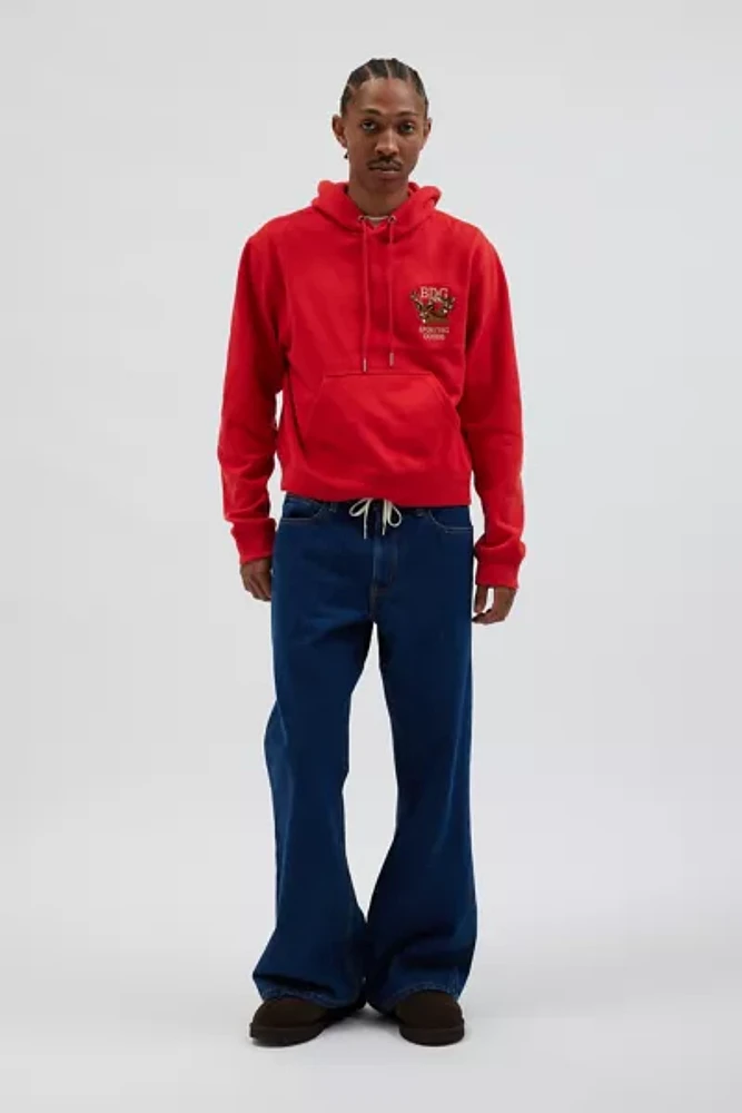 BDG Bonfire Embroidered Graphic Cropped Hoodie Sweatshirt