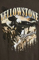 Yellowstone Eagle Graphic Tee