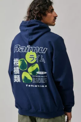 UO Navy Raimu Hoodie Sweatshirt
