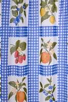 Gingham Fruit Patterned Shower Curtain