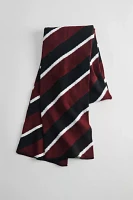 Varsity Stripe Rib Knit Scarf