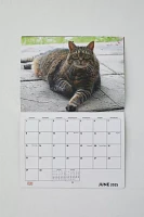 Fat Cats 2025 Wall Calendar