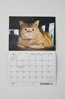 Fat Cats 2025 Wall Calendar