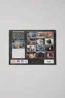 Fat Cats 2025 Wall Calendar