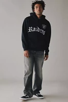 NFL Oakland Raiders Team Logo Graphic Hoodie Sweatshirt