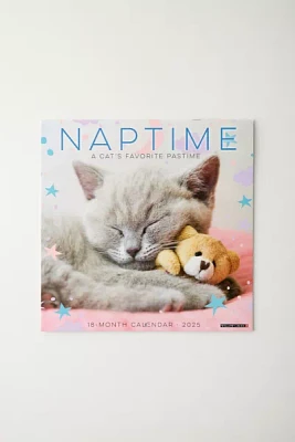 Naptime Cats 2025 Wall Calendar