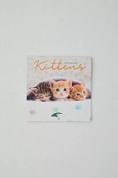 Kittens 2025 Mini Wall Calendar