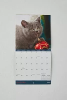 Kittens 2025 Mini Wall Calendar