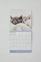 Kittens 2025 Mini Wall Calendar