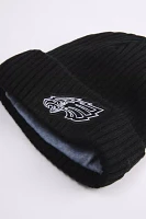 Pro Standard Philadelphia Eagles Paint The City Beanie