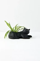 Black Cat Planter