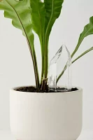 Glass Crystal Self-Watering Bulb