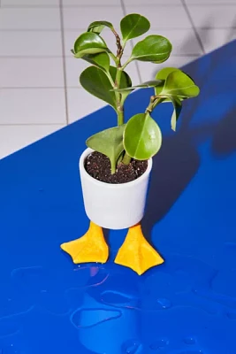 Duck Feet Planter