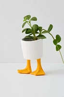 Duck Feet Planter