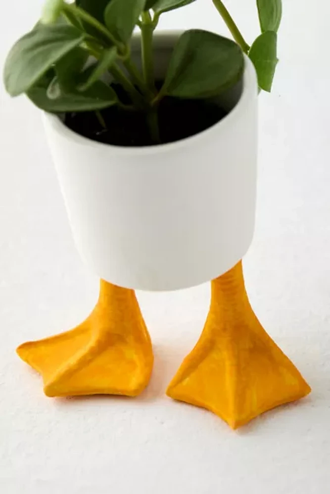 Duck Feet Planter
