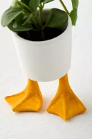 Duck Feet Planter