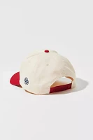 Dairy Boy Americana Snapback Baseball Hat