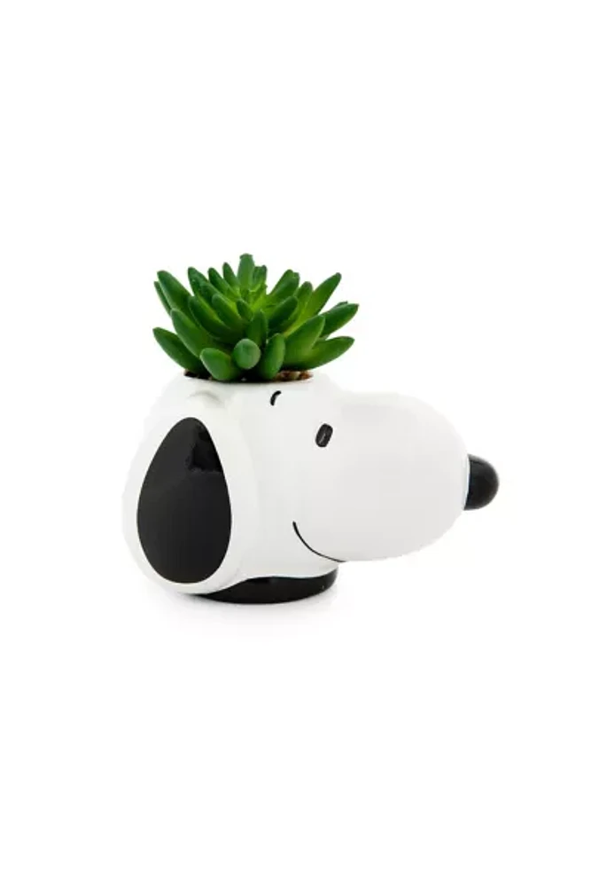 Peanuts Snoopy Succulent Planter