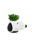 Peanuts Snoopy Succulent Planter