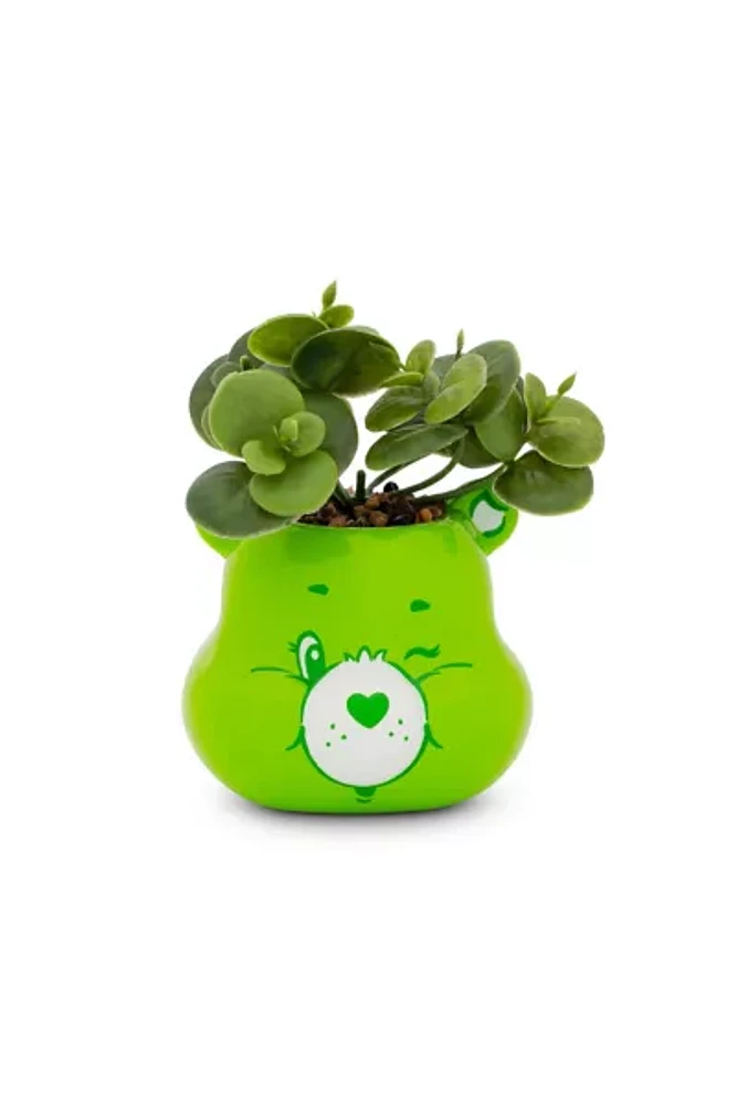 Care Bears Good Luck Bear Succulent Planter