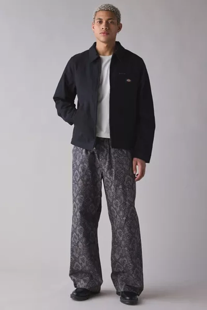 BDG Nitro Camo Canvas Baggy Fit Pull-On Pant
