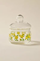 Aderia Small Floral Glass Jar